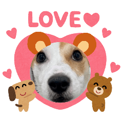 いらすとや×Jack Russell Terrier puppy