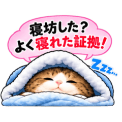 都合よく生きるポジティブ猫