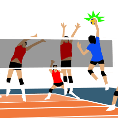 Women's Volleyball Game