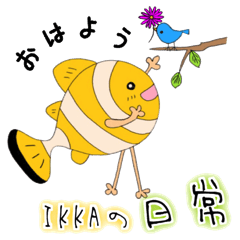 新型アネモネ魚《IKKAの日常》