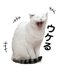 我が家の猫スタンプ☆第3弾