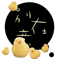 CUTE Chick Bird conversationexpression11