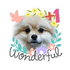 winter_20230726014116