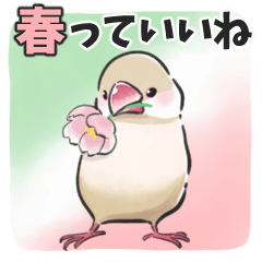 文鳥のきもち＊春スタンプ
