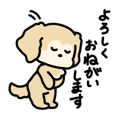 挨拶(ちょっと白くなってきたゴールデン)