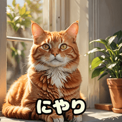 ゆるっとネコの感情スタンプ