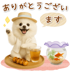 ▶動く癒しポメラニアンの「夏」の毎日