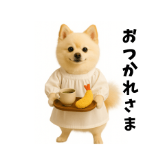 Pomeranian no Mochi