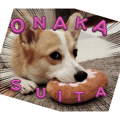 これは使えるかもね