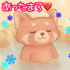 季節の変わり目にレッサーパンダの気遣い