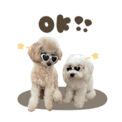 ココちゃん♡ミミちゃんスタンダード