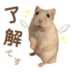 小陽くんの日常スタンプ２