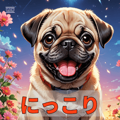 ころころ表情のパグ日和