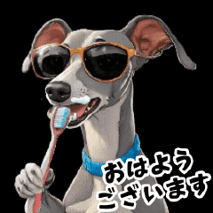 動く!!毎日使えるロックなイタグレ