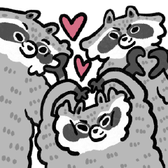 The Moving Raccoon Raccake