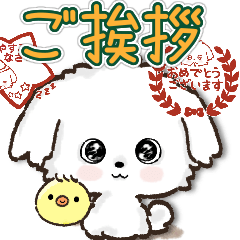 愛犬☆マルチーズのご挨拶♡ず〜っと使える