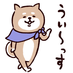 ◯SHIBAINUさん・カジュアル◯