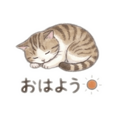 にゃーちゃんの1日
