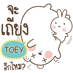 TOEY Bear Love Little Rabbit e