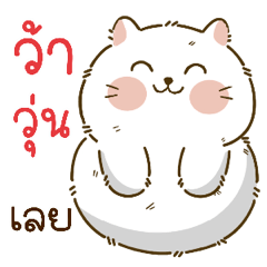 White cat so cute