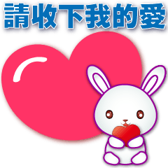 Cute white rabbit- -Practical phrases