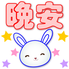 Cute white rabbit-Practical daily-