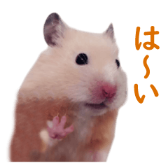 ハム＆ハムスタンプ