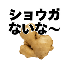 生姜の日常スタンプ