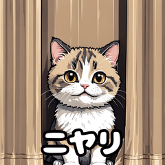 40表情マンチカン大集合！