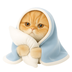 キュートなコールドキャット （NT）