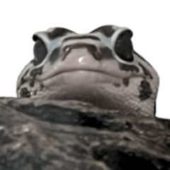 【うに】うには汚泥じゃないよ！