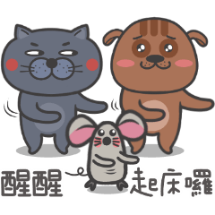 Pidan cat and Pidan dog