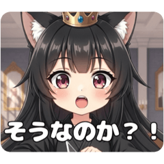 くのいち学校のプレミアムセット