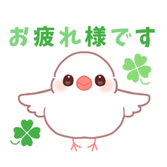 文鳥スタンプ【ガロガロリ】