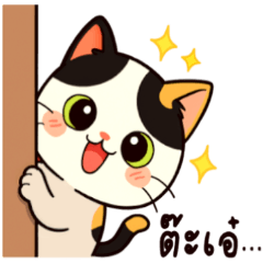 Chibi Cat Vibes: Playful Moods