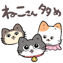 ねこに転生したおじさん。ねこさん多め。