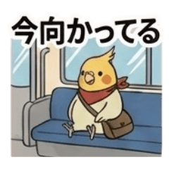 待ち合わせ♡ずっと使える♪オカメインコ