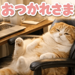 飛び出す♡ぽちゃにゃんこ