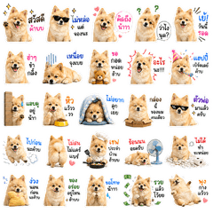 A Tee V2