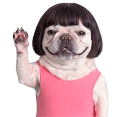 動くブヒのぶーちゃん・おかっぱレオタード