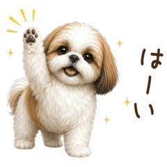 一年中使える♪シーズー