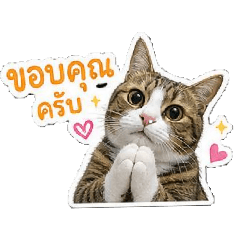 DinDin_20260506221559