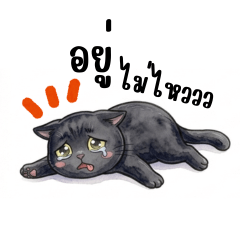 I am Coal