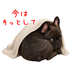 本音がこぼれる敬語フレブルブリンドル