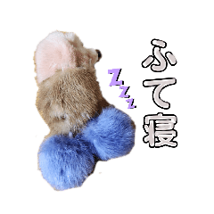 りむちゃん♪
