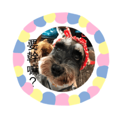 Liuminrou_20190413123608