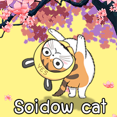 Soidow cat_(MJ)