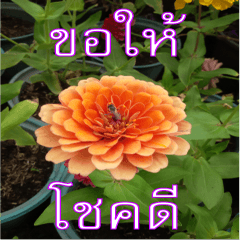 FEEL SO GOOD (HAPPY EVERYDAY)