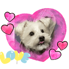 ルアンの日常〜いつも一緒〜