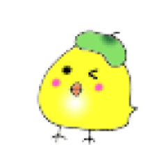 ぴよりんの日常１